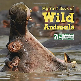 [Download Sách] My First Book Of Wild Animals